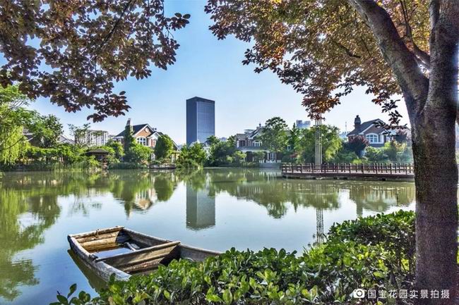 1548235196356190.jpg 640.webp (8).jpg