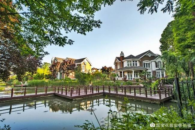 1548235215449396.jpg 640.webp (10).jpg